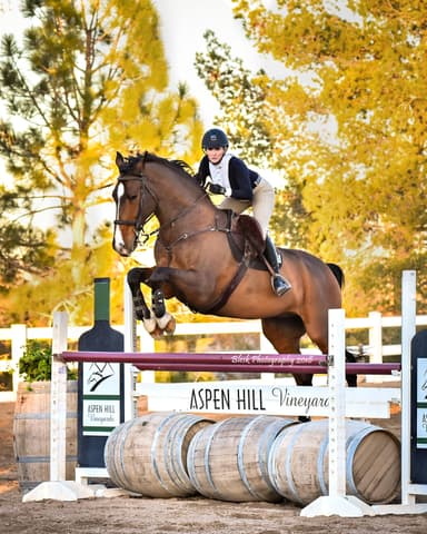 Aspen Hill Farm, horseback riding