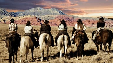 Henderson Saddle Association
