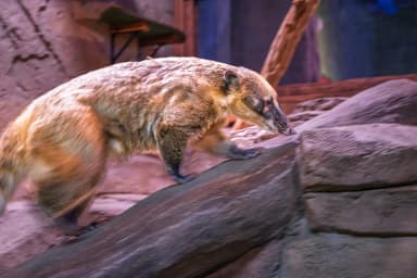 One World Interactive Aquarium