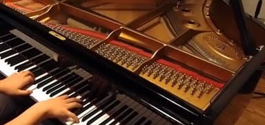 Walnut Music Academy