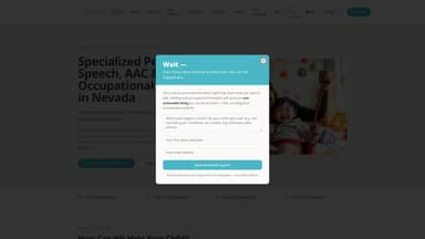 Autism and Brain Institute