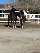 Justa Dream Ranch, horseback riding