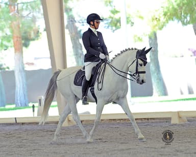 Springhaven Farm, horseback riding