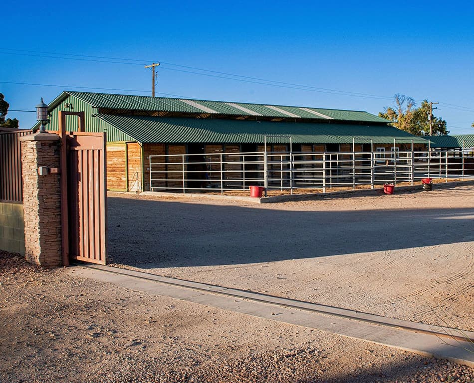 J&J Las Vegas Horse Boarding & Riding Academy, horseback riding in Las Vegas