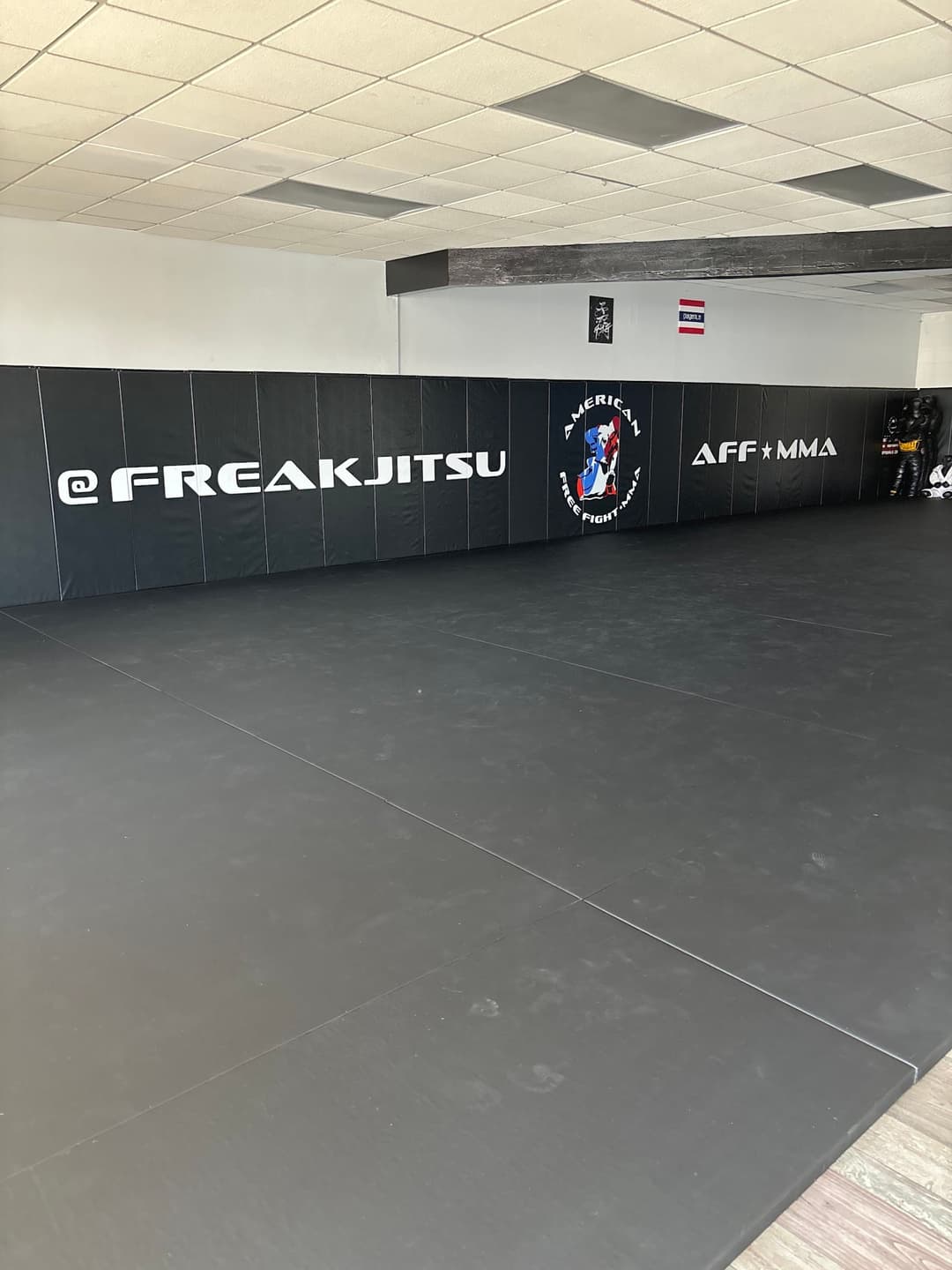 American Freefight MMA in Las Vegas