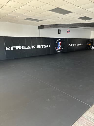 American Freefight MMA