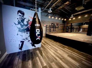 DLX Boxing