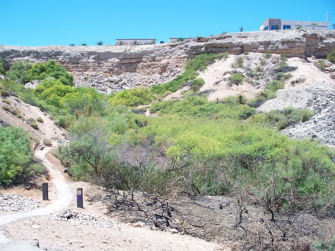 Whitney Mesa Nature Preserve, hiking in Henderson
