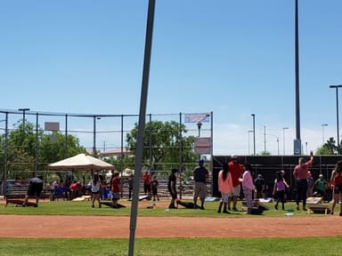 Western Little League (NV) > Home