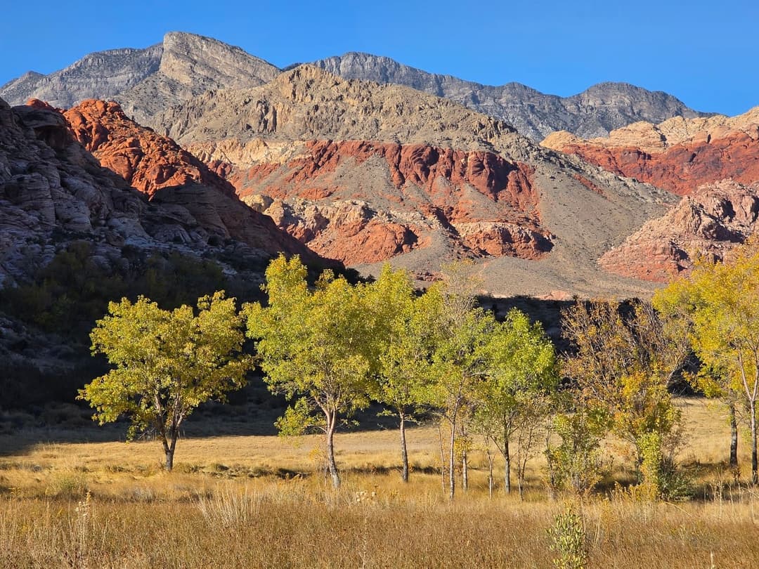 Red Spring: A Desert Oasis, hiking in Las Vegas