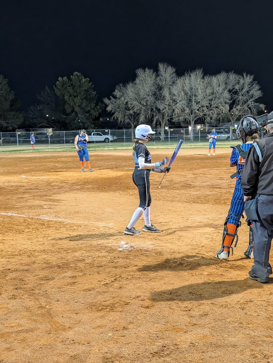 Flamingo Softball Fields, baseball in Las Vegas