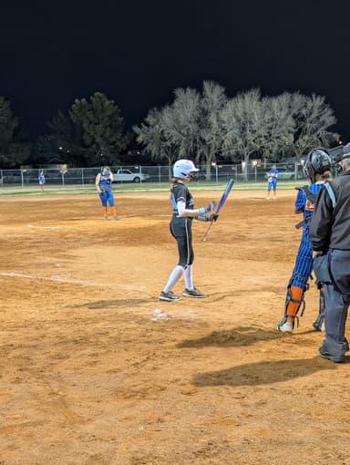Flamingo Softball Fields