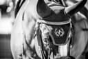 JJ Sporthorses USA, horseback riding