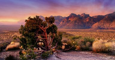 The Mountain Guides - Red Rock