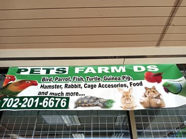 Pets Farm DS