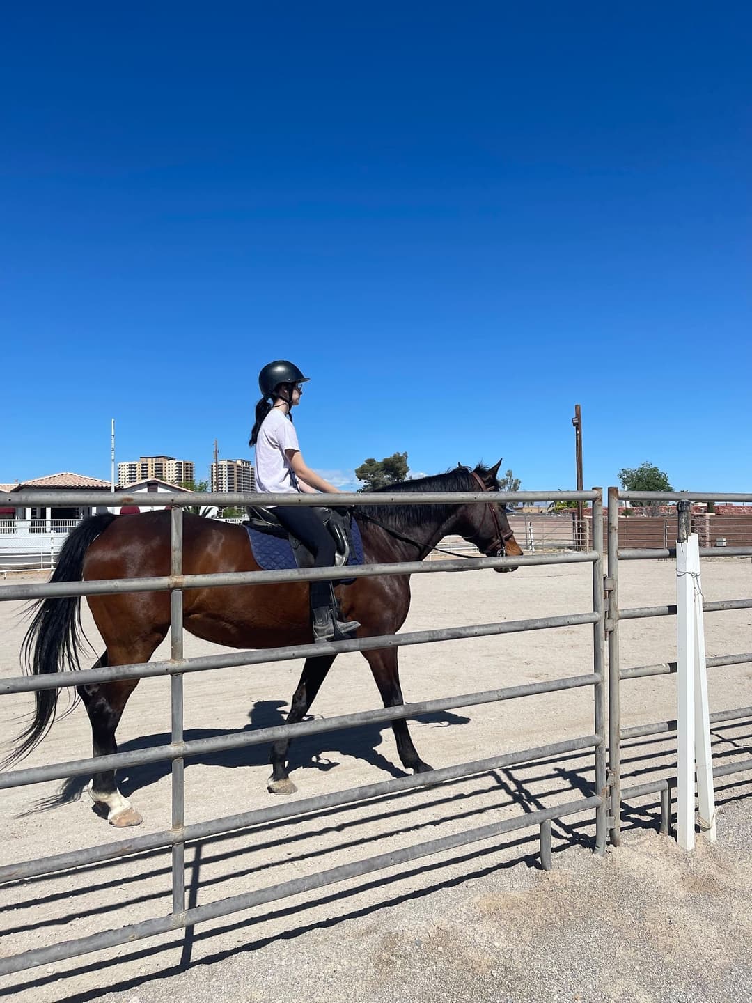 LC Equestrian LV, horseback riding in Las Vegas