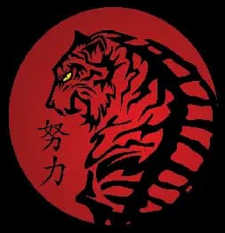 Ten Tigers Martial Arts Summerlin