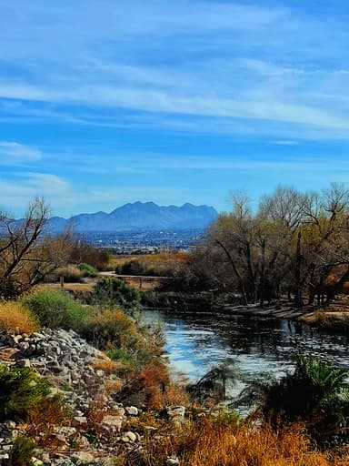 Wetlands Park