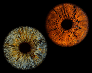 Uniqueye Iris Photography