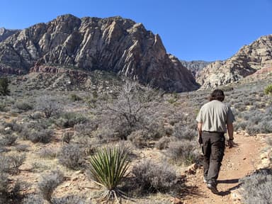 Las Vegas Parks and Recreation