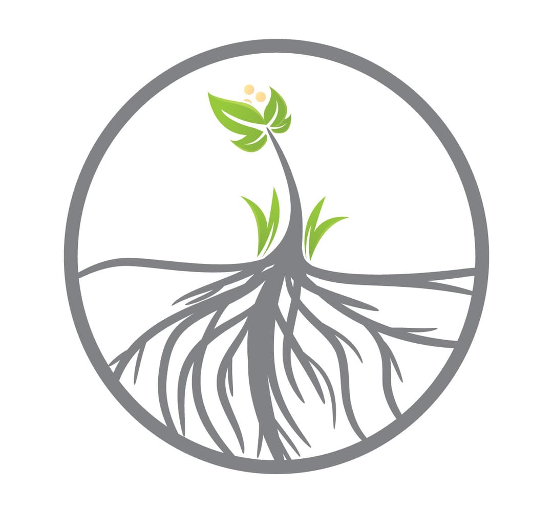Rooted Life Counseling Center, adhd support in Las Vegas