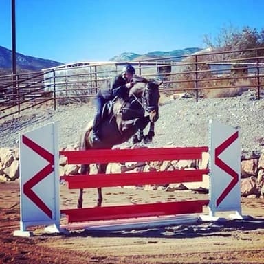 S & F Ranch LLC