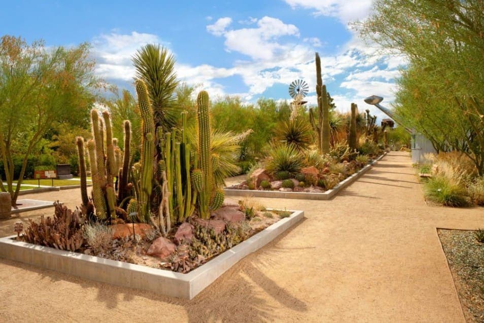 Springs Preserve, hiking in Las Vegas