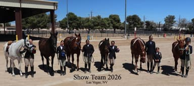 Las Vegas Riding Instruction
