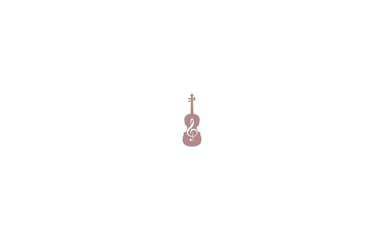 Valley Strings Academy