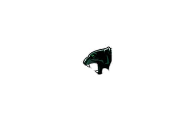 Palo Verde Lacrosse Club
