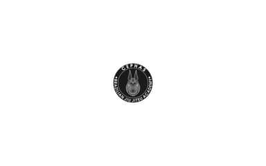Cephas Brazilian Jiu Jitsu Academy logo