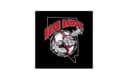 Road Dawgs Baseball Academy logo