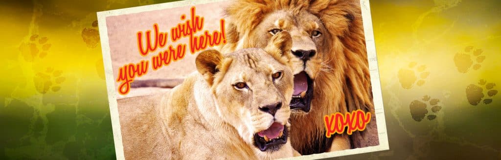Lion Habitat Ranch inc, zoo in Henderson