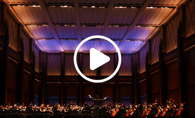 The Young Artists Orchestra of Las Vegas