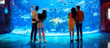 The Aquarium at Silverton Casino