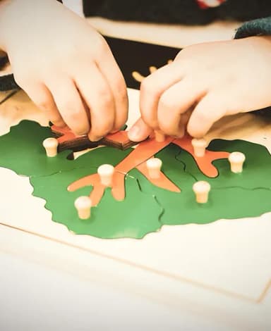 Montessori Visions Academy