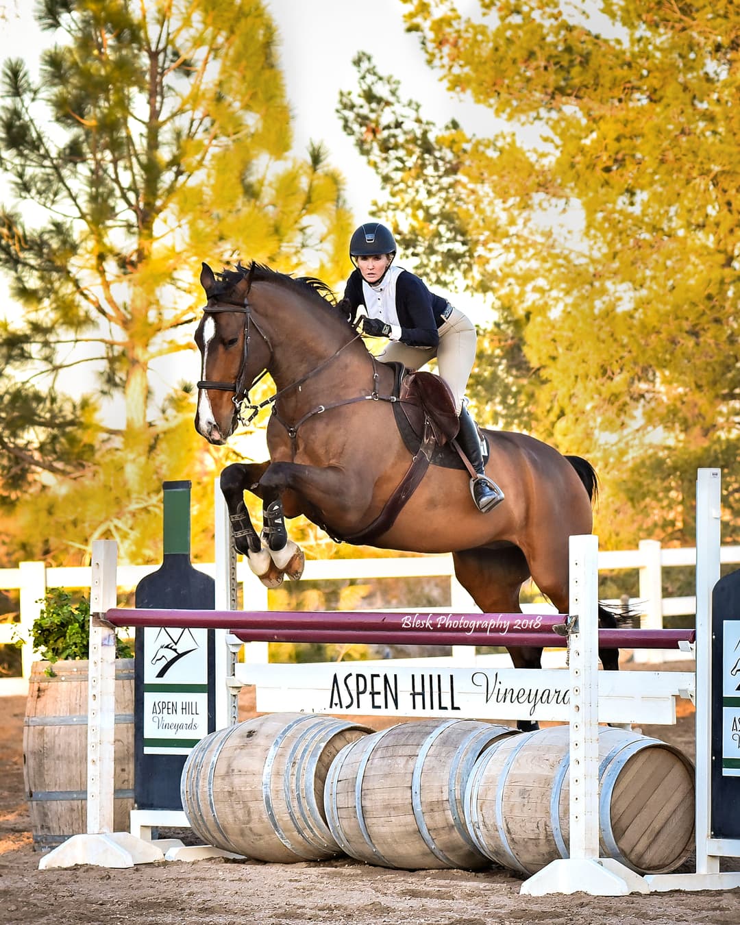 Aspen Hill Farm, horseback riding in Las Vegas